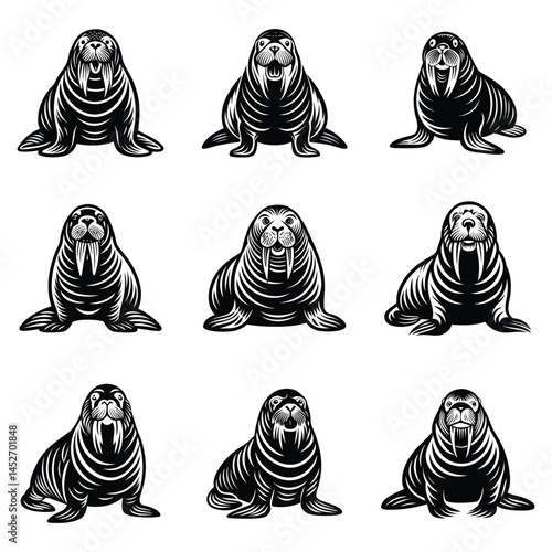 Vector illustration of walrus isolated on white background, Monochrome Walrus Sitting on the Ground