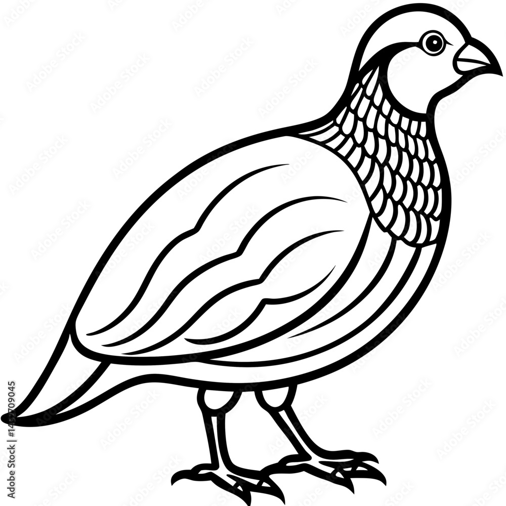 Obraz premium Elegant Quail in Minimal Vector Art