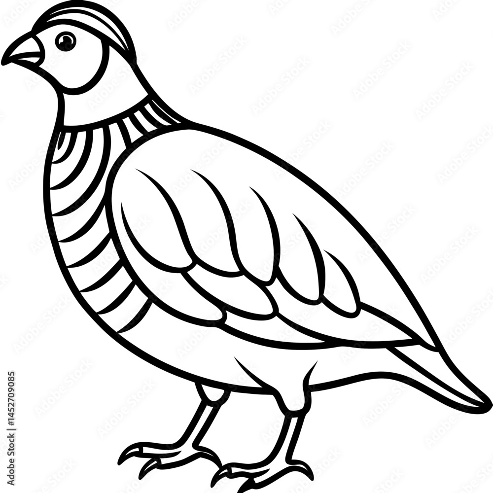 Obraz premium Elegant Quail in Minimal Vector Art
