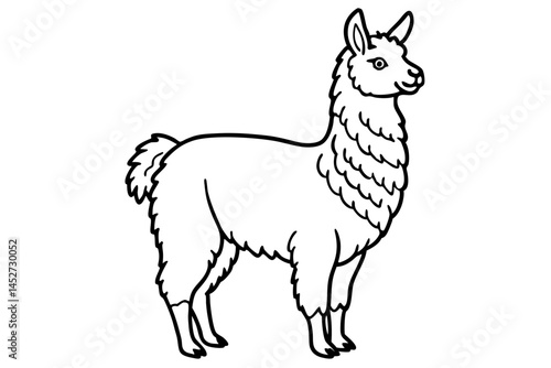 vector illustration of a llama
