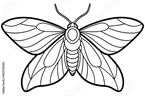 Minimalist Opal Moth Vector Art