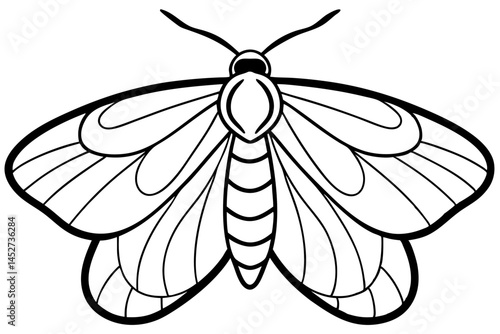 Minimalist Opal Moth Vector Art