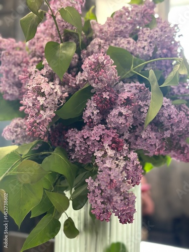 Purple lilac bouquet, spring bouquet, lilac flowers
