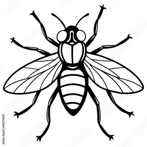Horsefly Outline – Clean Vector Style