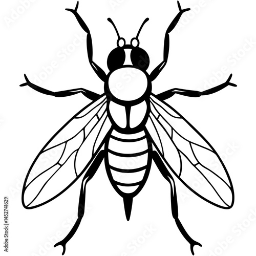 Horsefly Outline – Clean Vector Style
