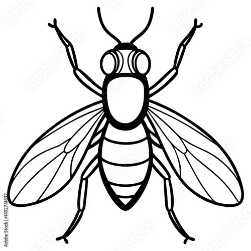 Horsefly Outline – Clean Vector Style