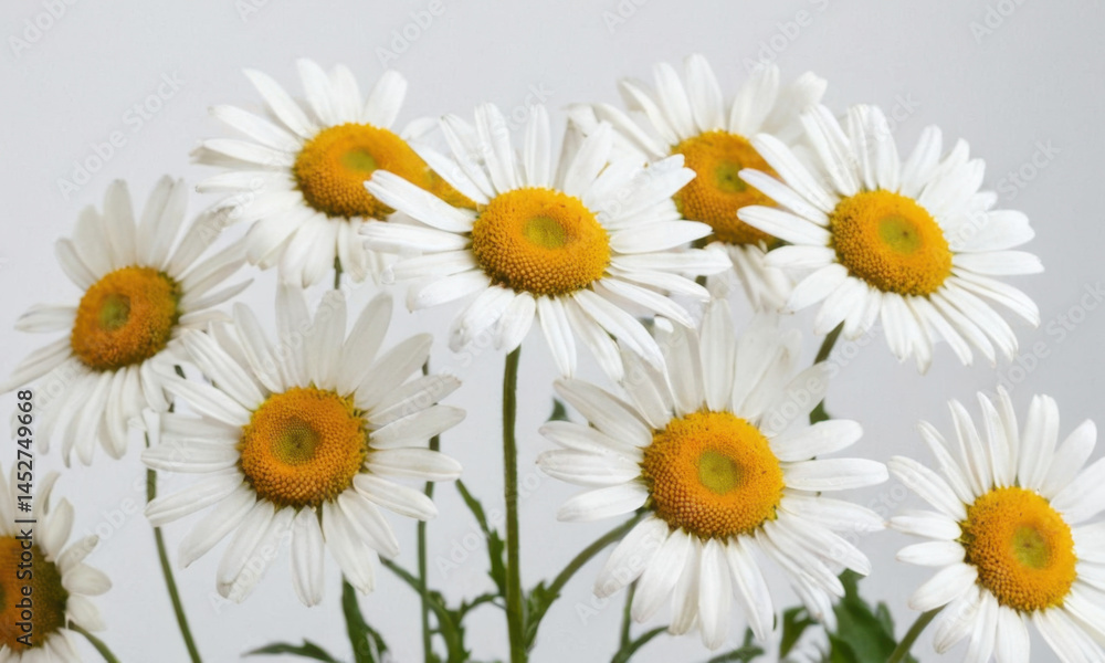 Fototapeta premium Fresh bouquet of white and yellow flowers in a decorative vase, perfect for home decor or gift giving