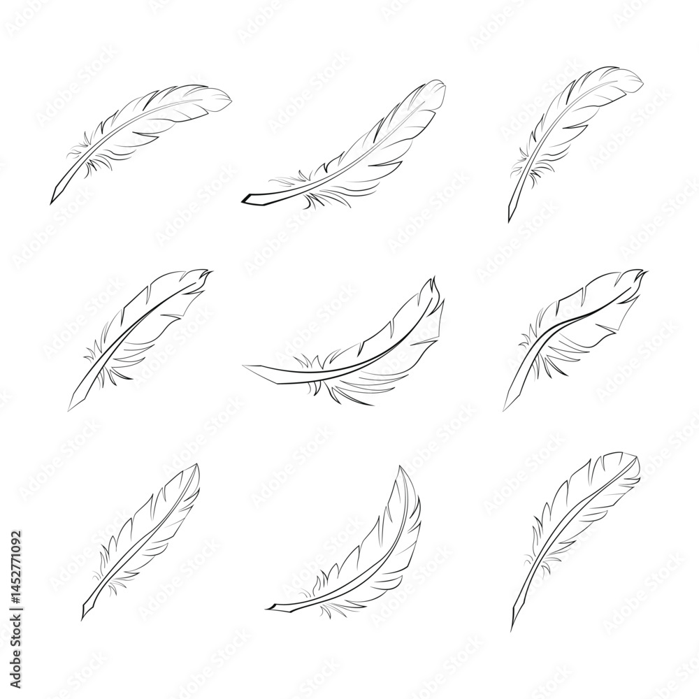 set of feathers vector set of feathers vector