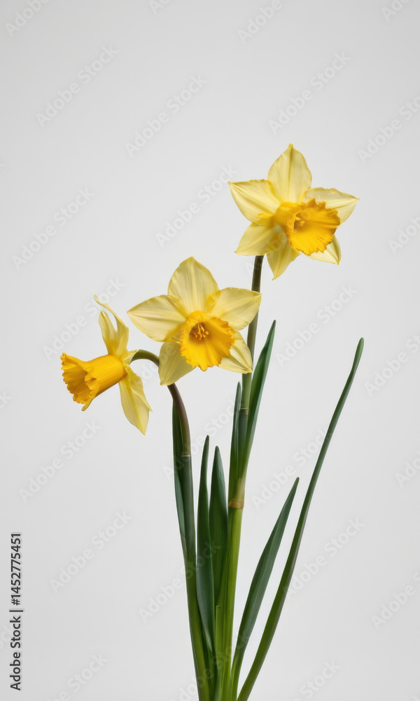 Two bright yellow flowers in a decorative vase placed on a table