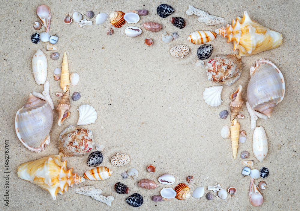 Fototapeta premium Flat lay composition with beautiful shells on sand. Vacation, beach and sea concept.
