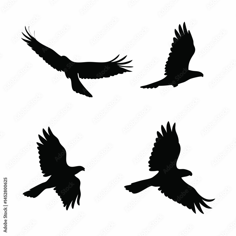 Bird Flight Sequence Pack ,silhouette sequence of a bird in flight Bird Flight Sequence Pack ,silhouette sequence of a bird in flight
