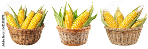Set of Realistic photo of fresh yellow corn cobs arranged neatly in a woven wicker basket on transparent png background. Ai generated