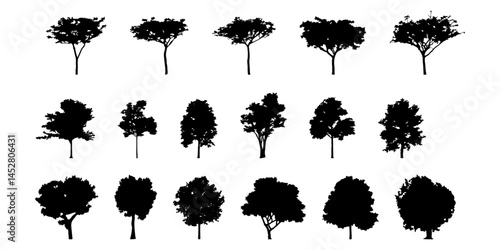 silhouette tree line drawing set, Side view, set of graphics trees elements outline symbol for architecture and landscape design drawing. Vector illustration in stroke fill in white. Tropical