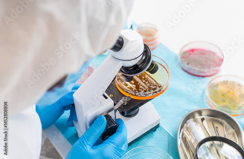 Photography Examine bacteria in petri dishes in the laboratory