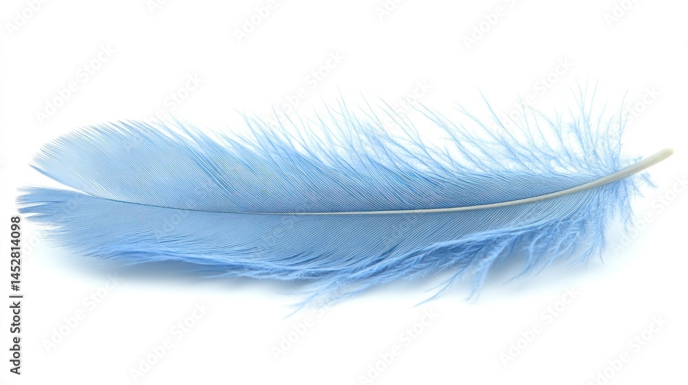 Obraz premium Light blue feather on white background
