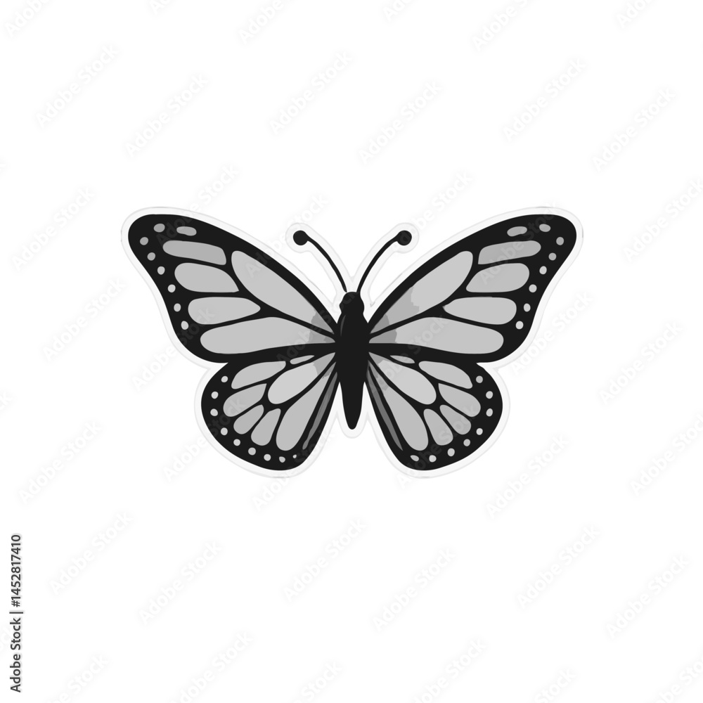 Fototapeta premium Detailed Grayscale Butterfly