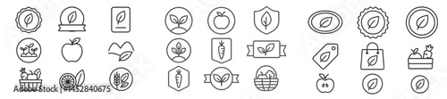 Collection of leaf and fruit themed icons showcasing nature and healthy living in simple line art style