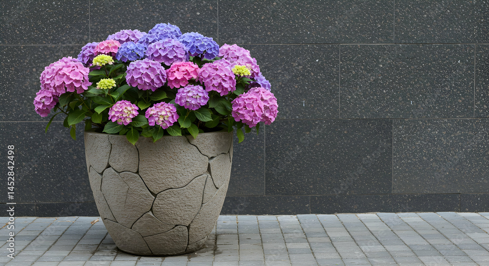 Vibrant Hydrangea Flowers in Decorative Pot with Stone Design