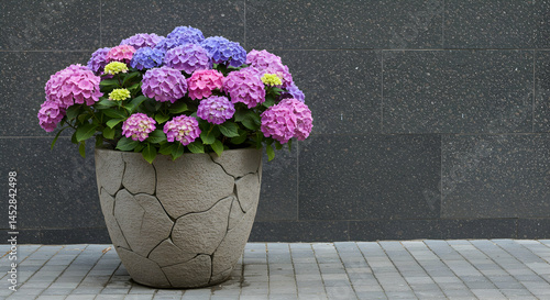 Obraz na płótnie Vibrant Hydrangea Flowers in Decorative Pot with Stone Design w salonie