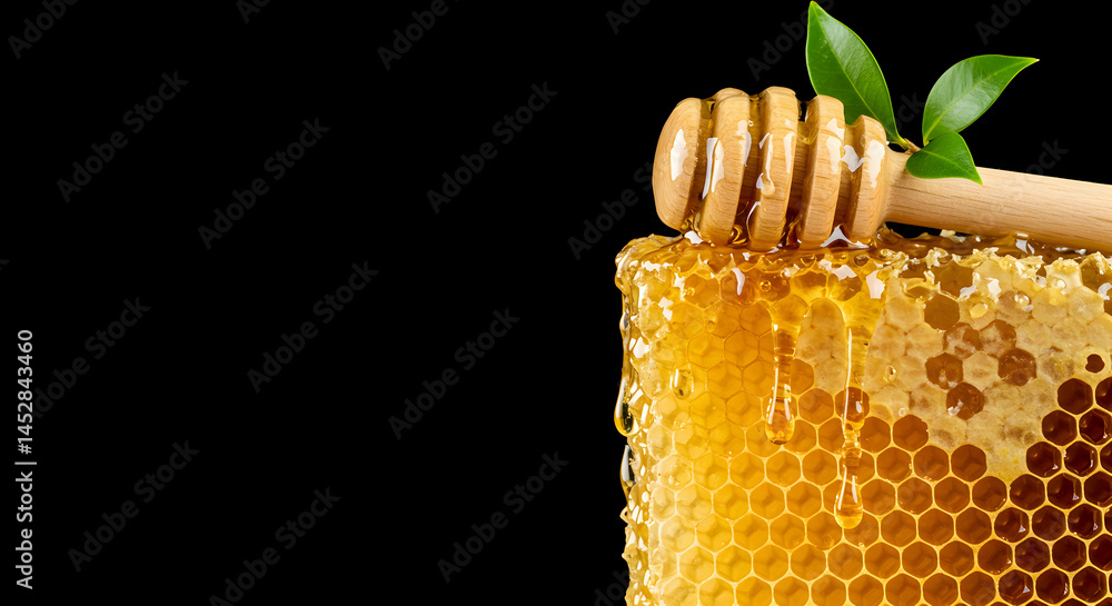 Golden Honeycomb and Honey Dipper with Fresh Green Leaves