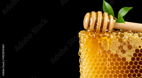 Obraz na płótnie Golden Honeycomb and Honey Dipper with Fresh Green Leaves w salonie