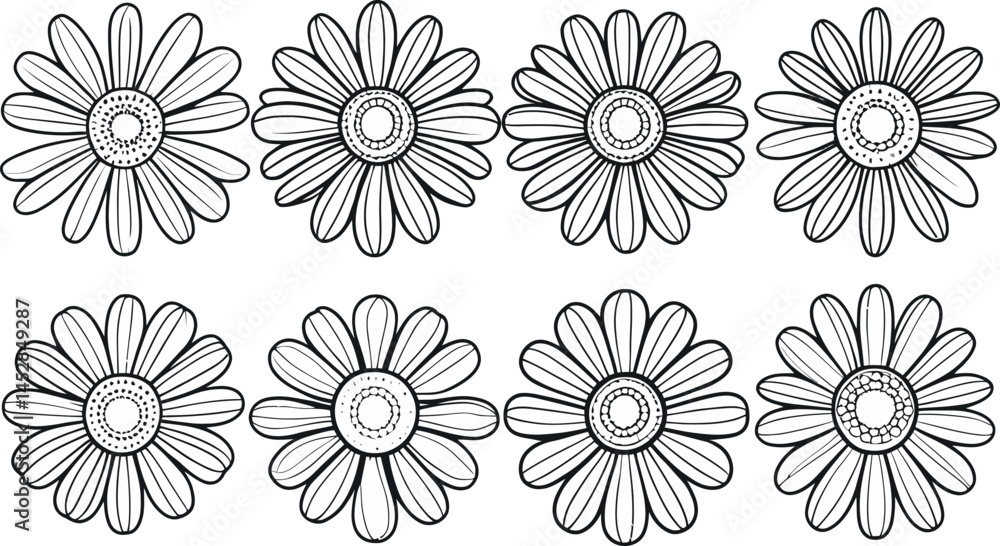 Fototapeta premium A vector set showcases a seamless floral with white daisy flowers, an elegant nature illustration, perfect for spring design