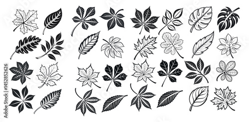 Fotografi Collection of Black and White Leaf Silhouettes, Diverse Black and White Leaf Ill