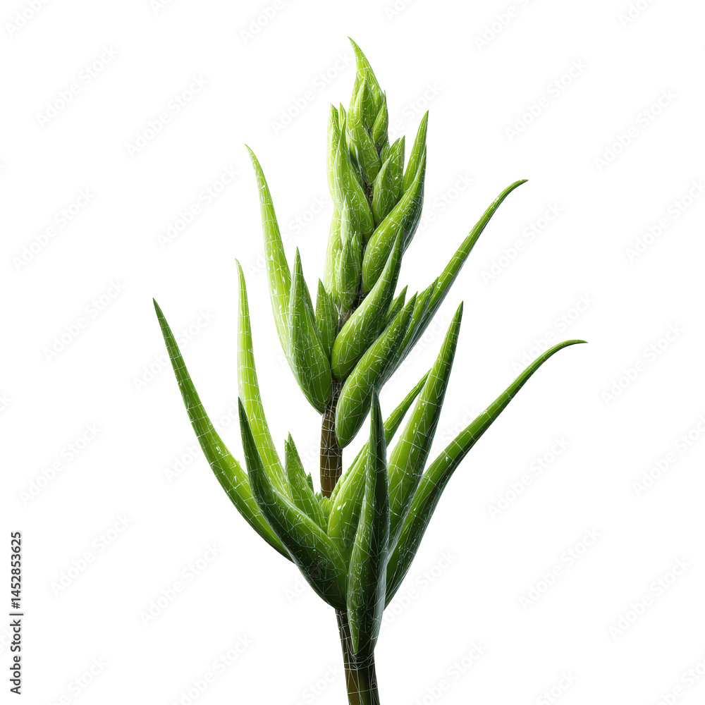 Fototapeta premium Vibrant Green Plant Sprout Close-Up of a Unique Botanical Specimen