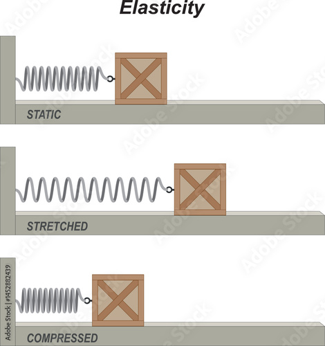 Hook's law. Elastic potential energy. Flexibility. Potential and kinetic energy. energy conversion. vector illustration

