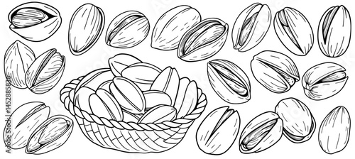 Pistachio nuts in monochrome outline style. Individual nuts and nuts in basket. Details include split shells and visible kernels. Suitable for packaging, food labeling, or botanical designs.