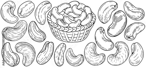 Cashew nuts falling into wicker basket, shown in black and white outline style. Includes curved nut shapes and woven basket texture. Suitable for food packaging, nutrition, or botanical design themes.