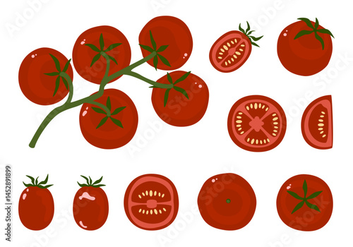 Set of various fresh cherry tomatoes vector illustration. Collection. Vintage red tomatoes. Organic farm ripe vegetables. Organic gardening. Vegetable art eggplant isolated flat design cute pieces.