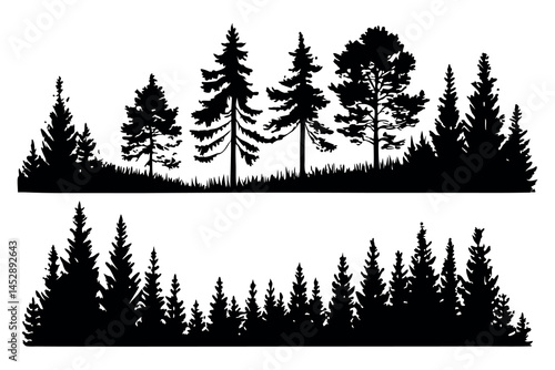 Pine trees silhouettes. Evergreen coniferous forest silhouette, nature spruce tree park view vector illustration. Coniferous woods silhouette