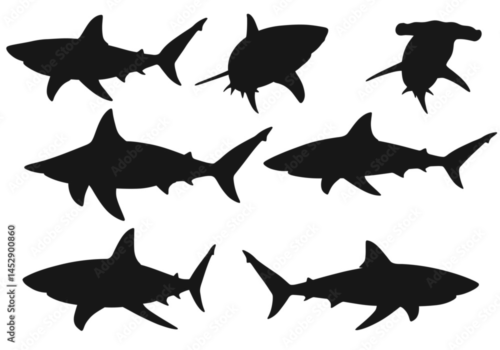 Shark silhouette vector pack: great white, hammerhead, tiger shark, and more shark species illustrations
Shark silhouette vector pack: great white, hammerhead, tiger shark, and more shark species illustrations