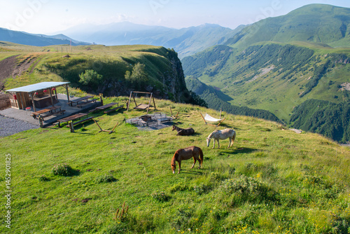 Several horses graze in the mountains of Georgia