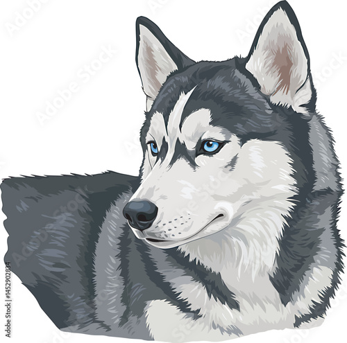 Realistic  Husky Art  Vector 