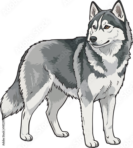 Realistic  Husky Art  Vector 