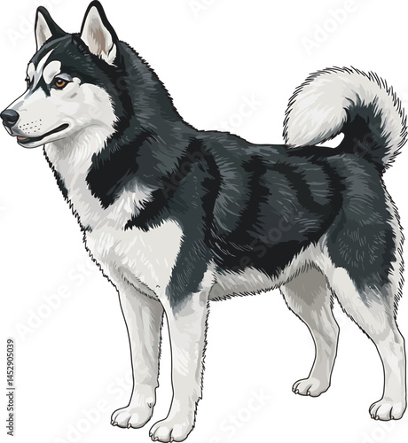 Realistic  Husky Art  Vector 