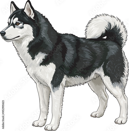 Realistic  Husky Art  Vector 