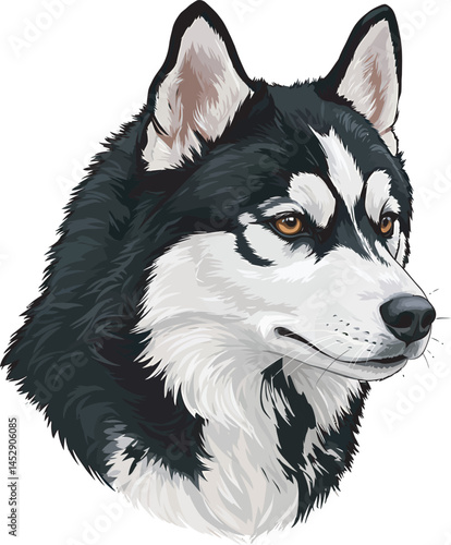 Realistic  Husky Art  Vector 