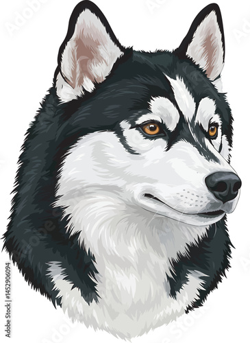 Realistic  Husky Art  Vector 