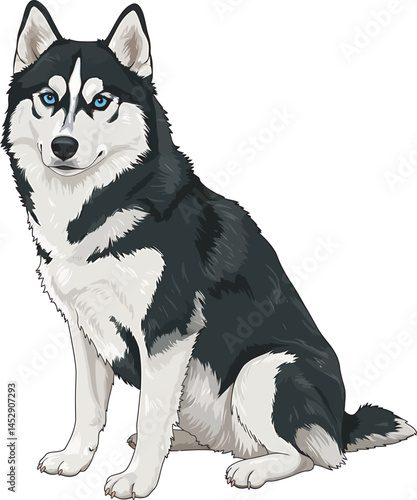 Realistic  Husky Art  Vector 