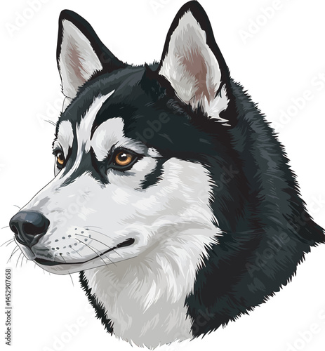 Realistic  Husky Art  Vector 