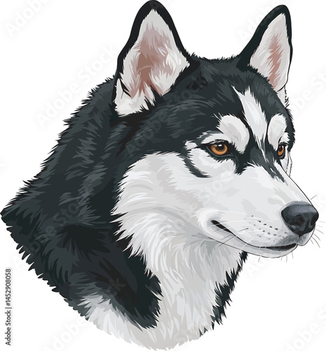Realistic  Husky Art  Vector 