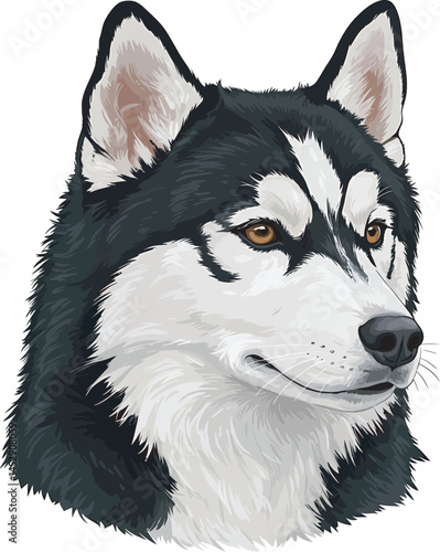 Realistic  Husky Art  Vector 