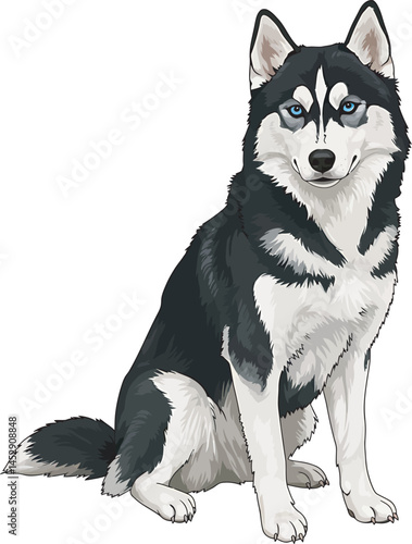 Realistic  Husky Art  Vector 