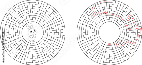 Circular Rabbit Maze Puzzle Solve the Labyrinth Challenge