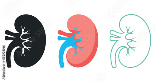 Kidney Anatomy Illustrations Black Silhouette, Color Icon, and Outline Drawing