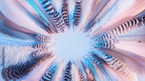 Colorful feathers arranged in a radial pattern