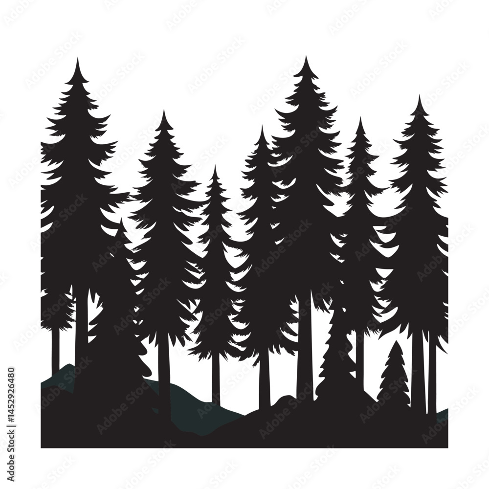 Fototapeta premium Evergreen Forest Dense Tree Silhouette